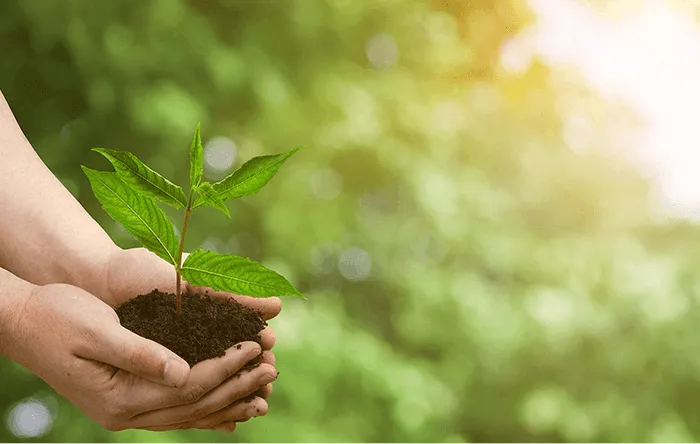 Reduction of fabric waste with 2SAVE