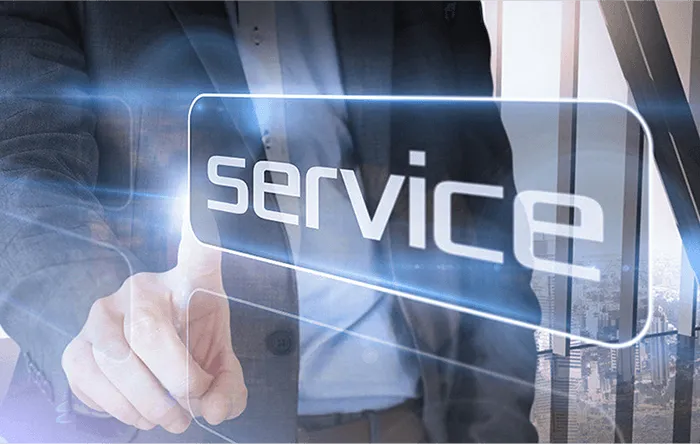 In-Sales Service: In-Sales Service: